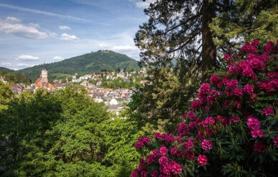 A&A Apartment Baden-Baden Exteriér fotografie